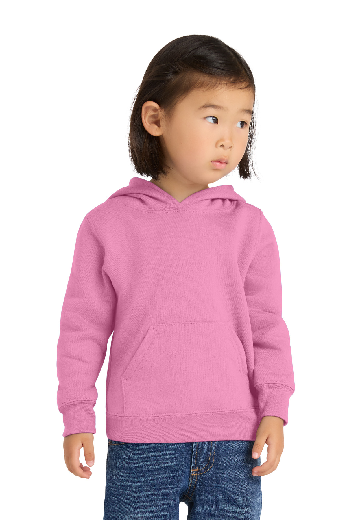 Port & Co Toddler Core Fleece Pullover Hooded Sweatshirt. CAR78TH